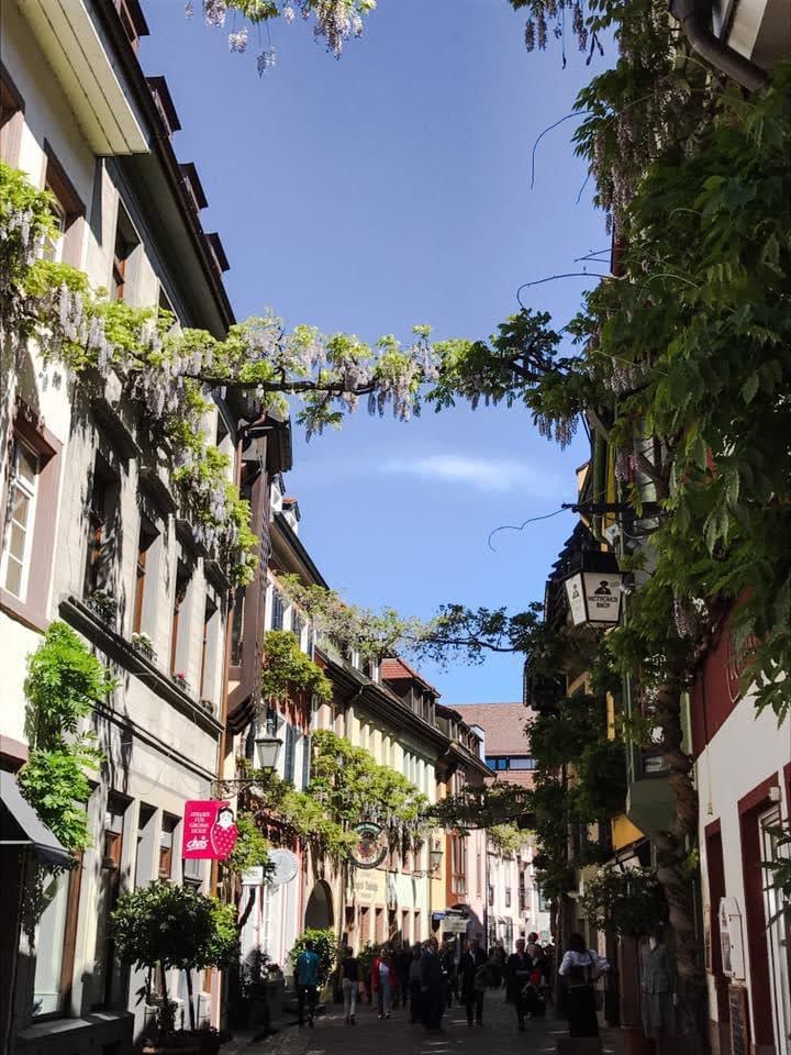 Guia Brasileiro em Freiburg na Floresta Negra