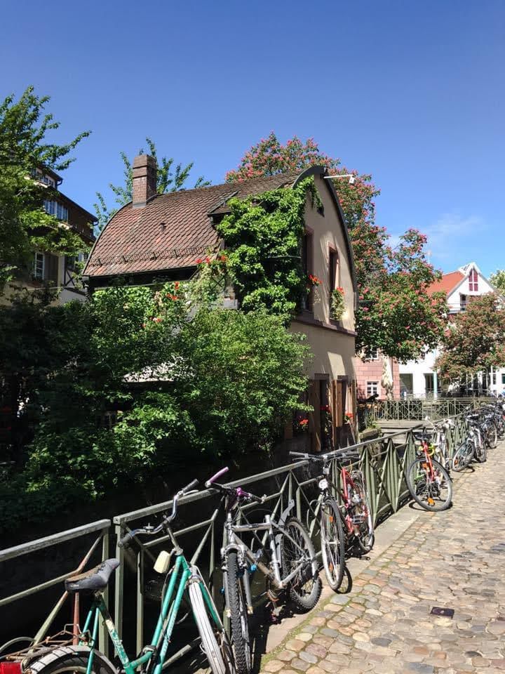 Guia Brasileiro em Freiburg na Floresta Negra