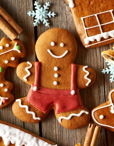 Top 5 Mercados de Natal na Alemanha perto de Berlim | GR Concierge