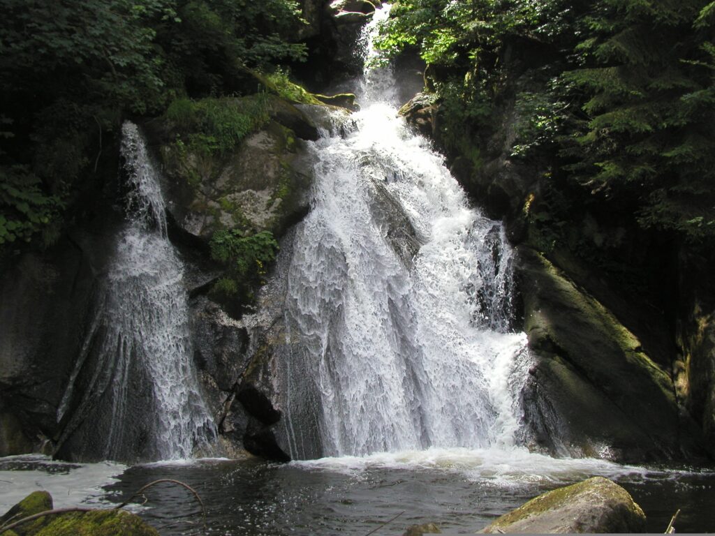 Triberg com Guia Brasileiro: Natureza Exuberante e Símbolos Clássicos da Floresta Negra - Imagem de Elias por Pixabay

