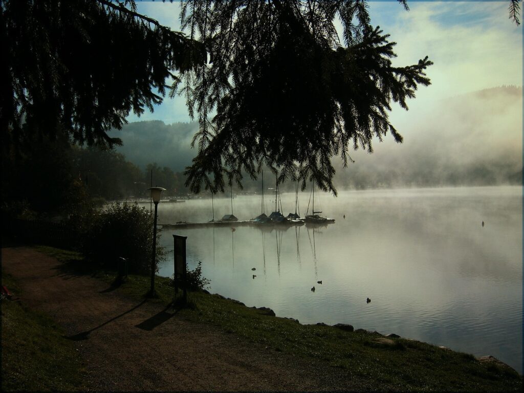 Lago Titisee na Floresta Negra: Guia com Motorista Brasileiro - Imagem de Gerd Altmann por Pixabay